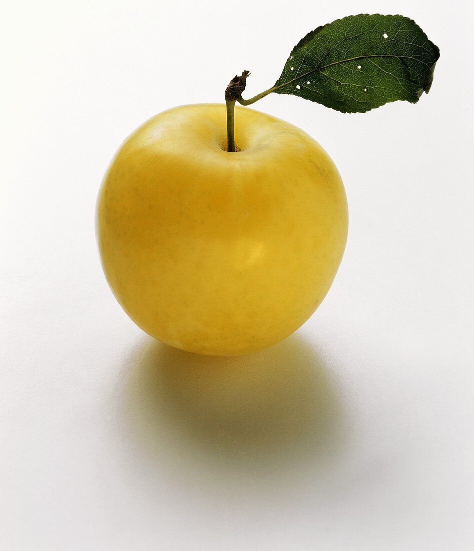 A yellow plum with stalk and leaf