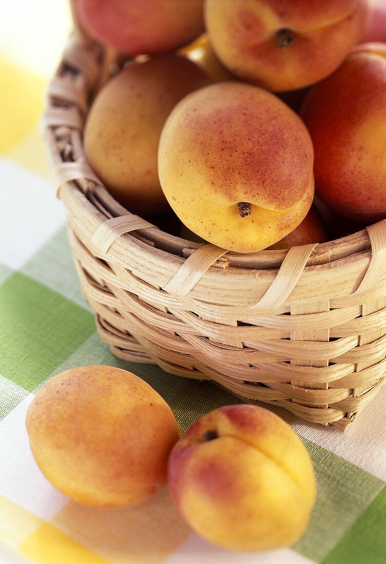 Fresh Apricots in a Basket