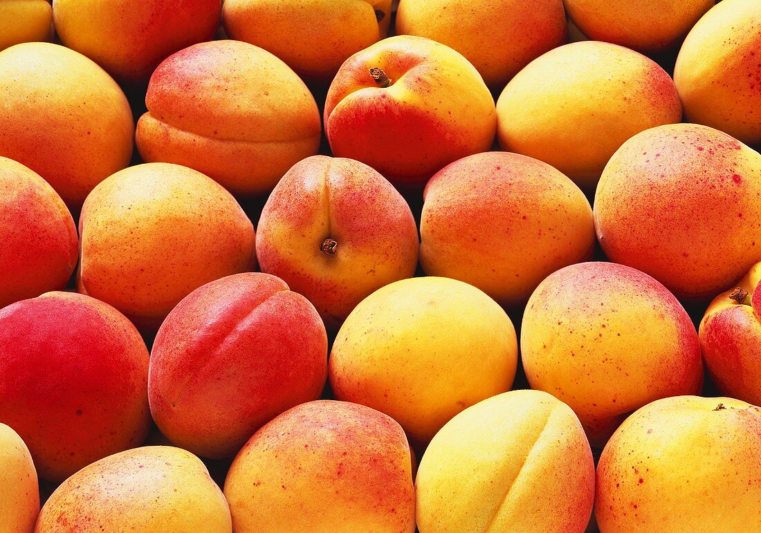 Several Fresh Apricots