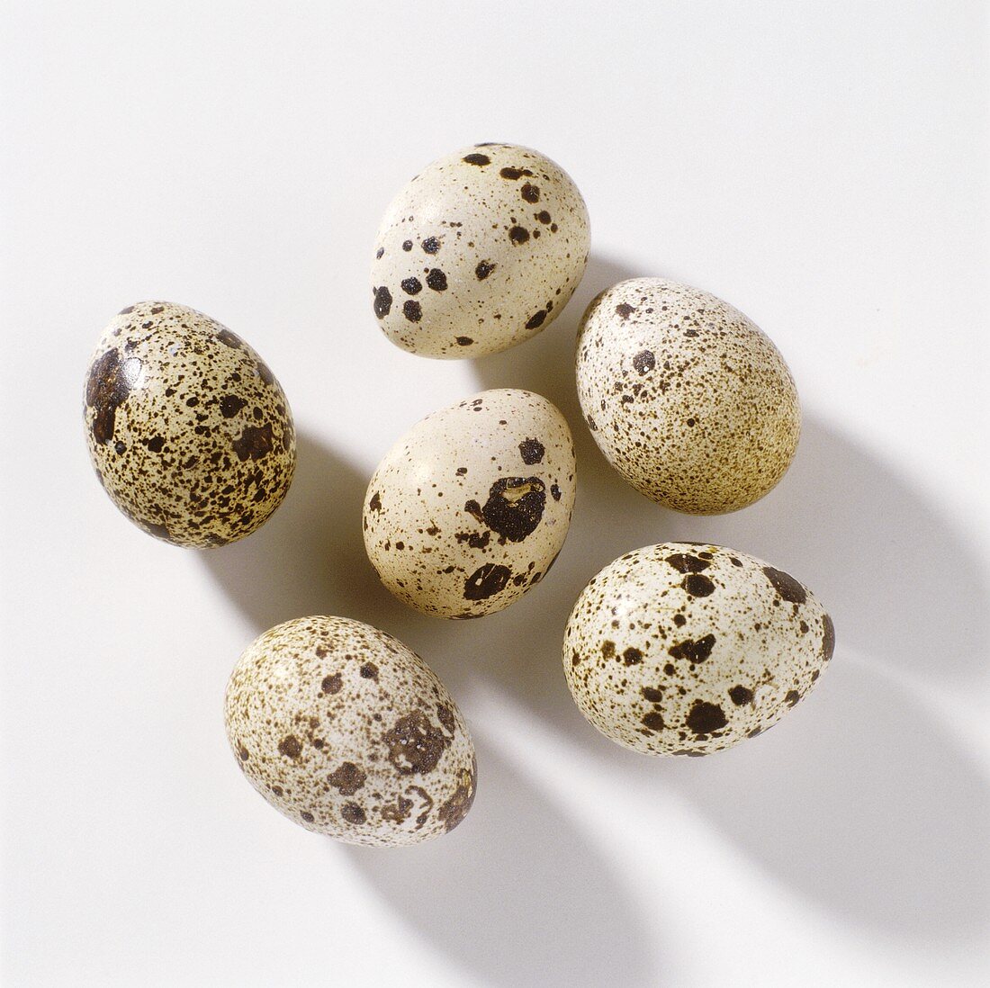 Several Quail Eggs