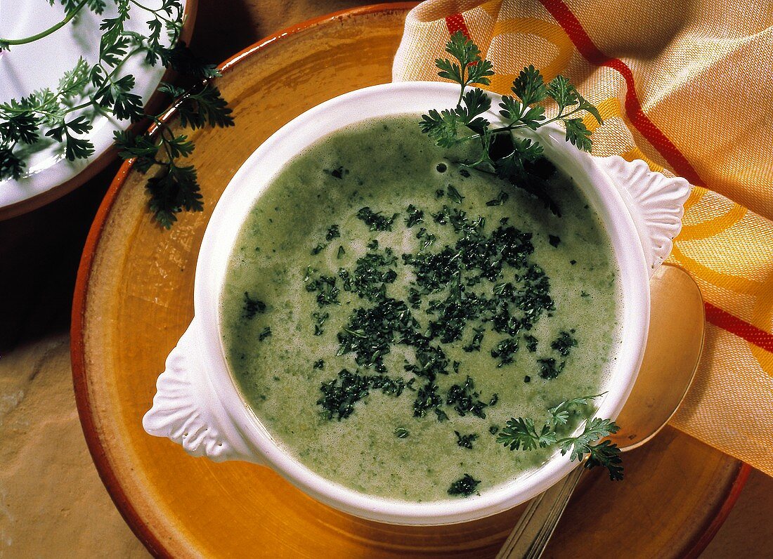 Green potato soup with chervil in white soup bowl