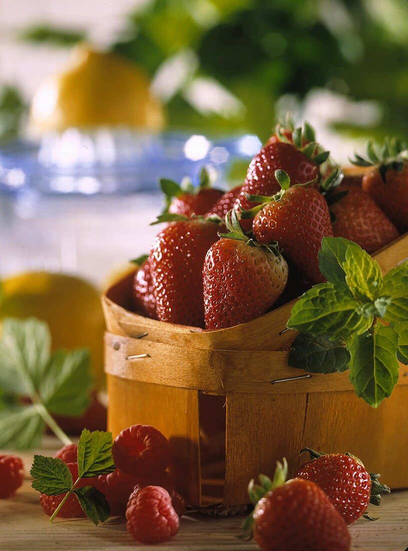 Frische Erdbeeren im Spankorb, daneben Himbeeren & Erdbeeren