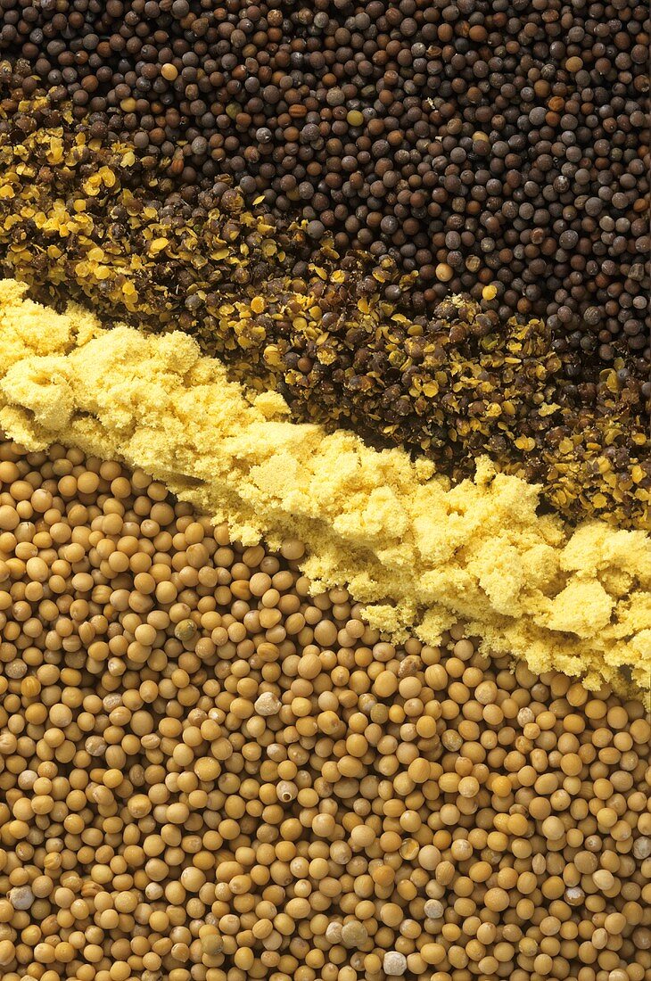 White & brown mustard grains (whole & crushed) mustard powder