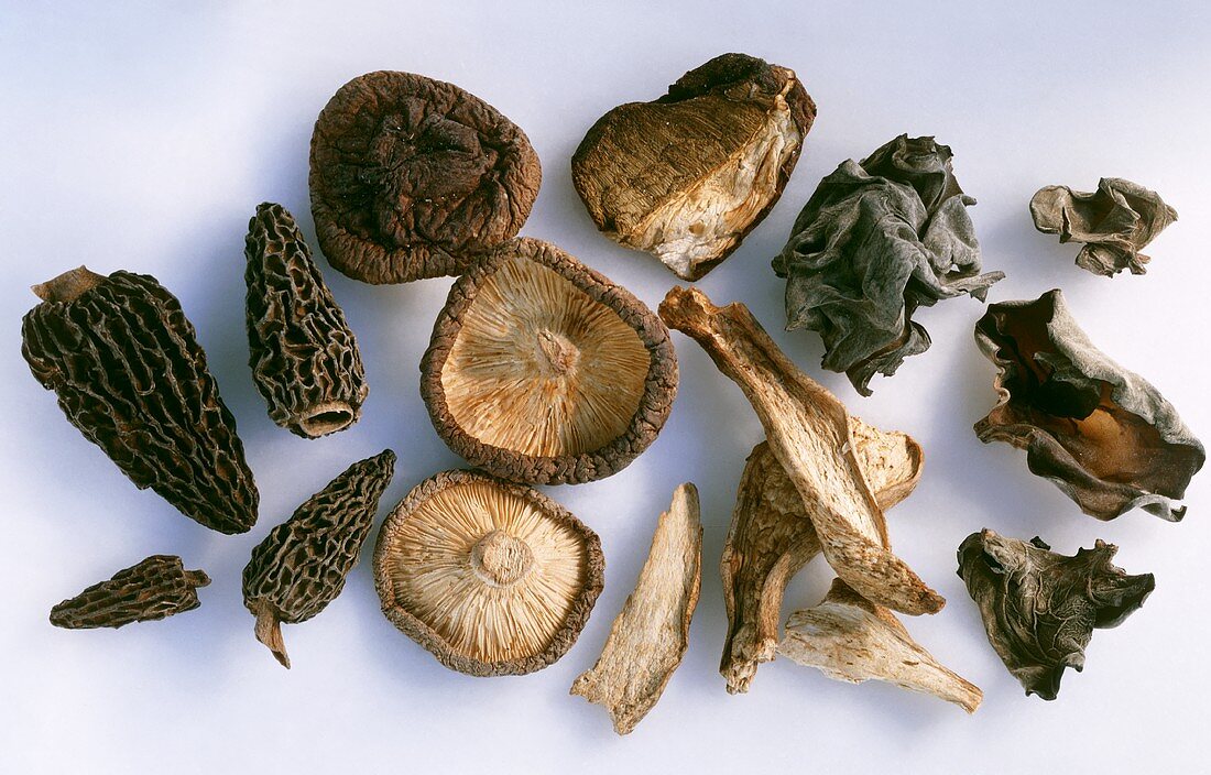 Getrocknete Pilze: Morcheln, Steinpilze, Mu-Err, Shiitake