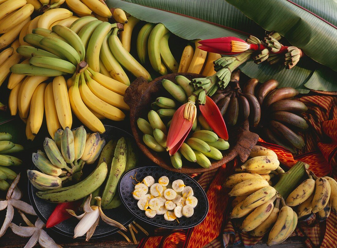 Bananenstilleben mit verschiedenen Sorten & Bananenblüten