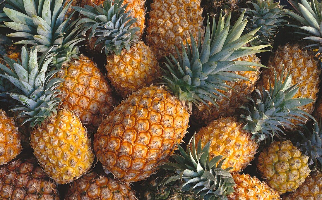 Several Whole Pineapples (close-up)