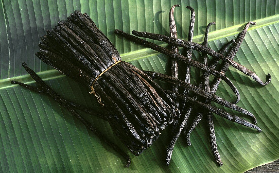 Vanilla pods, tied together and single, on green leaf