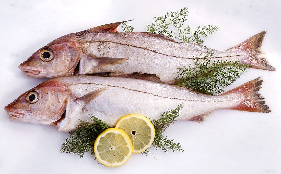 Two whole haddock with lemon slices and dill