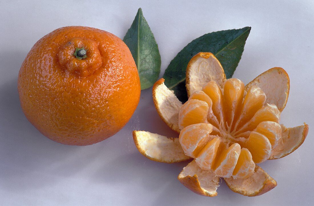 Clementines, one whole & one peeled, with green leaves