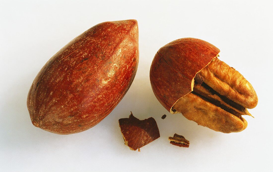 Pecan nuts, one whole and one half-shelled