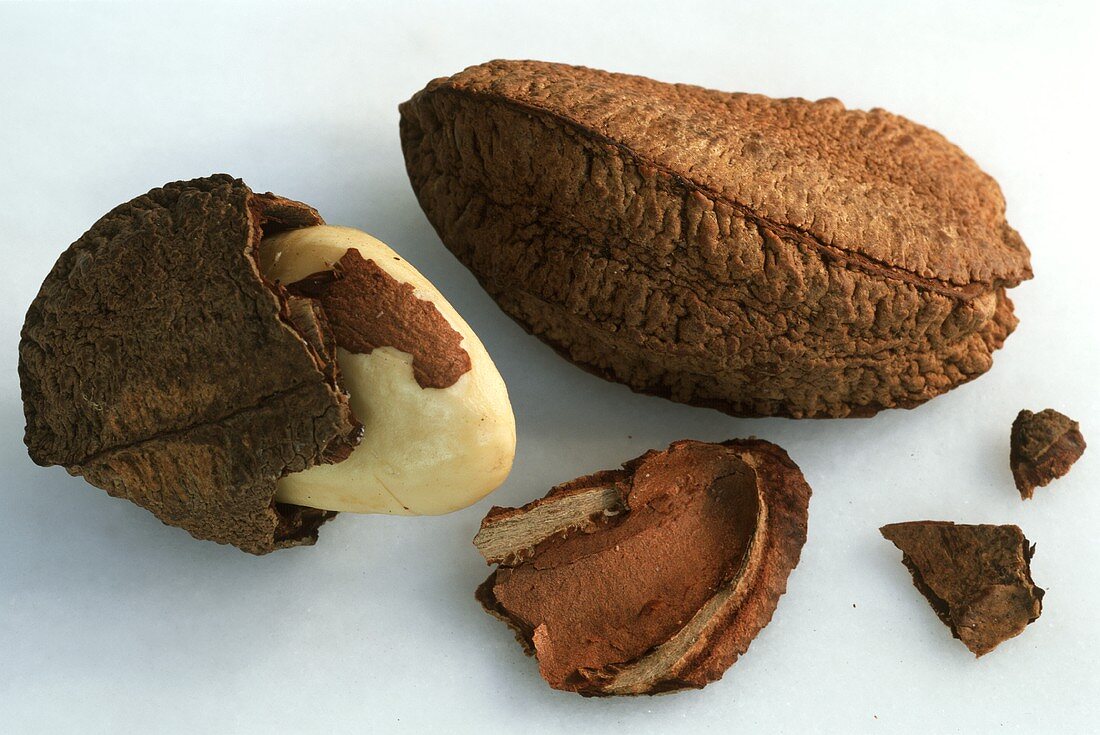 Two Brazil nuts, one half in its shell