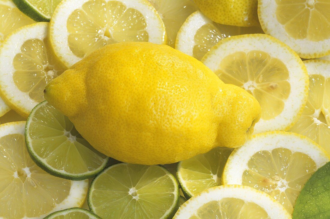 One whole lemon on lemon and lime slices