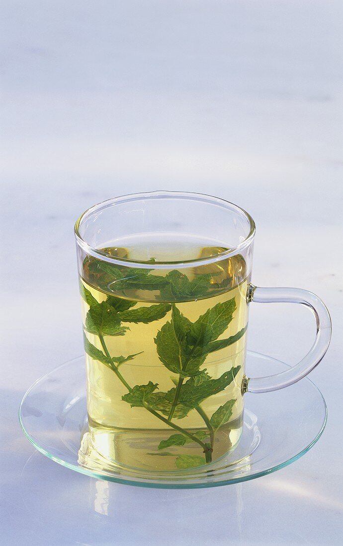 Peppermint tea in glass cup with fresh peppermint
