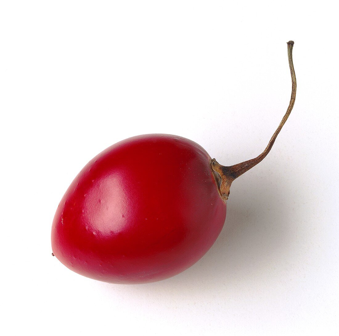 Eine Tamarillo auf weißem Untergrund