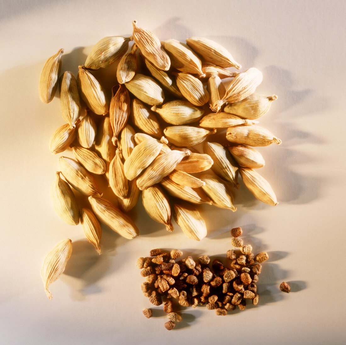 Cardamom capsules and seeds on light background