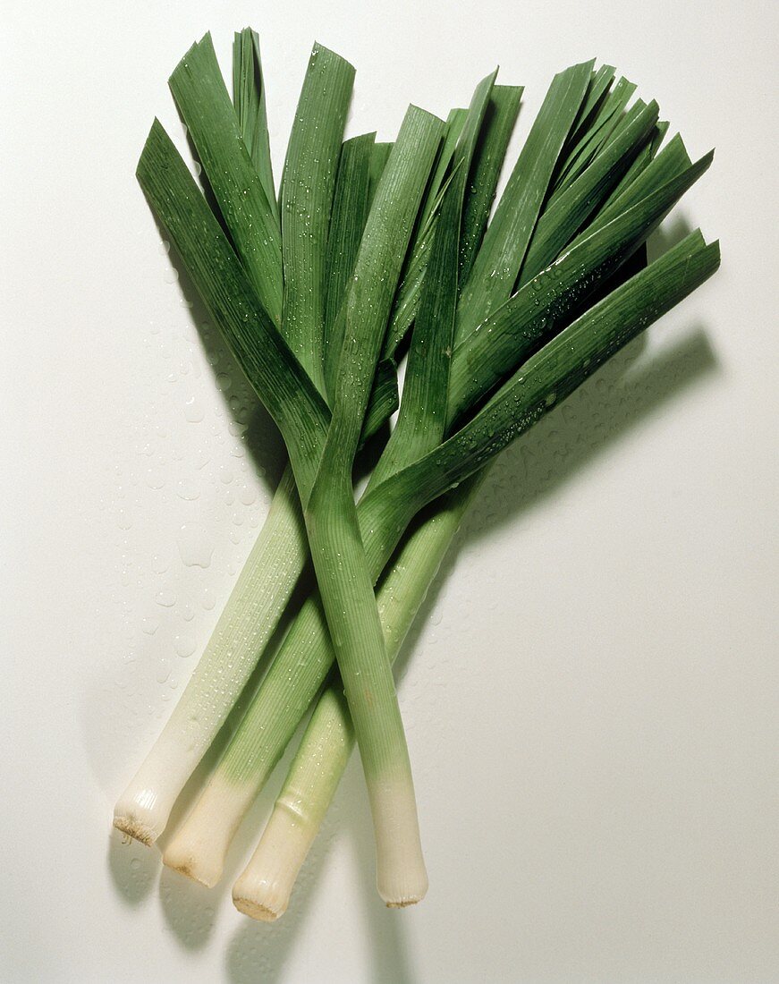 Leek with drops of water on light background