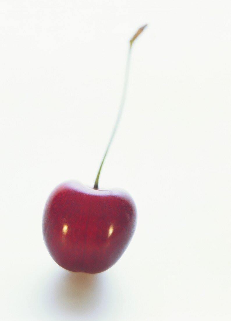 A cherry on white background
