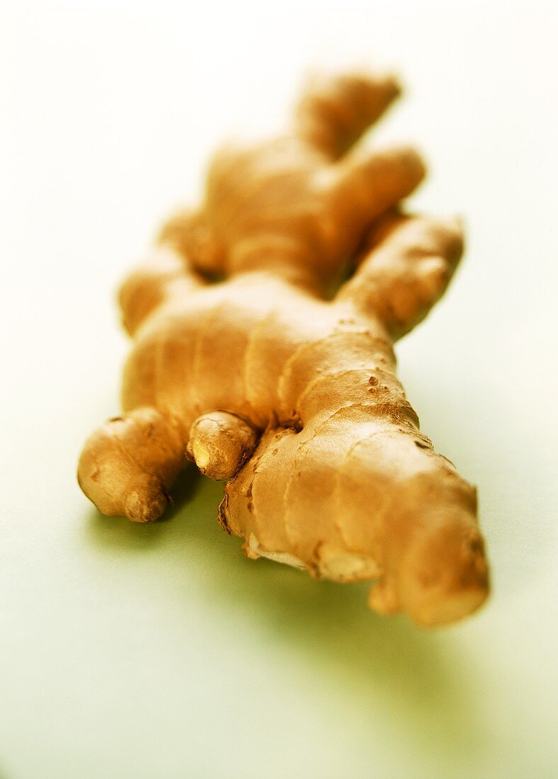 Ginger root on a light background