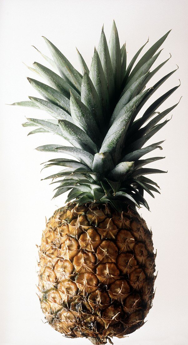 A pineapple on white background