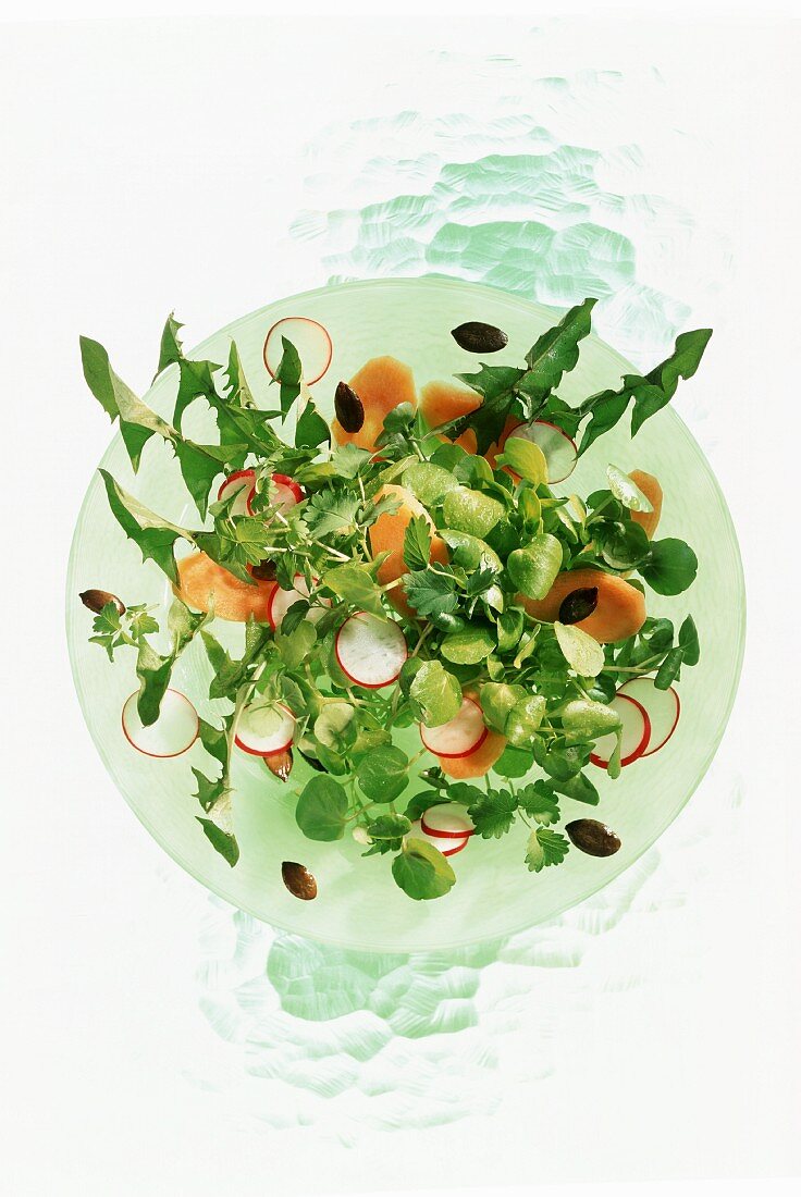 Löwenzahn-Brunnenkresse-Salat mit Radieschen und Möhren