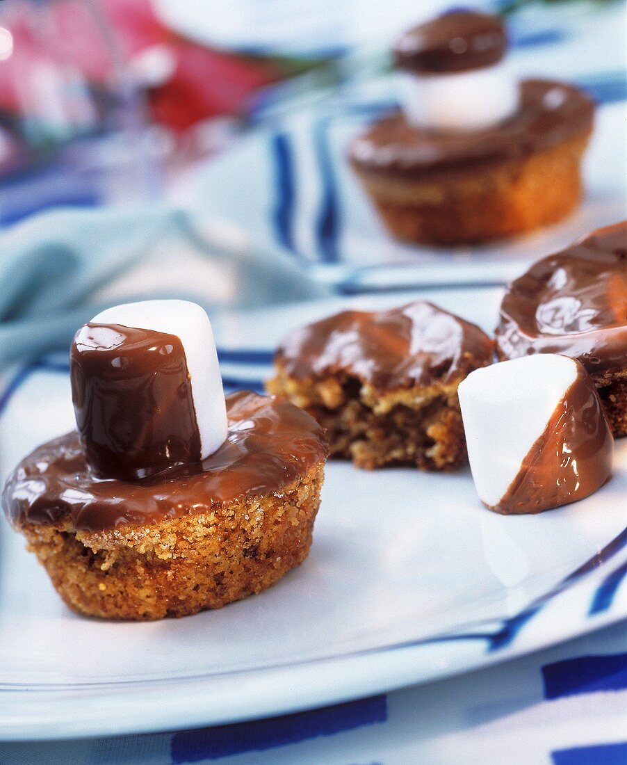 Marshmallow muffins with chocolate icing & marshmallows