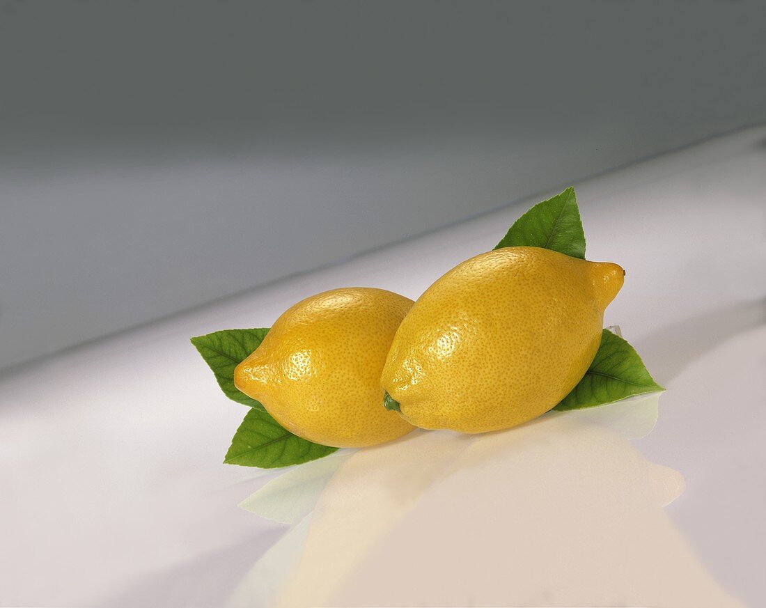 Zwei Zitronen nebeneinander vor Zitronenblättern