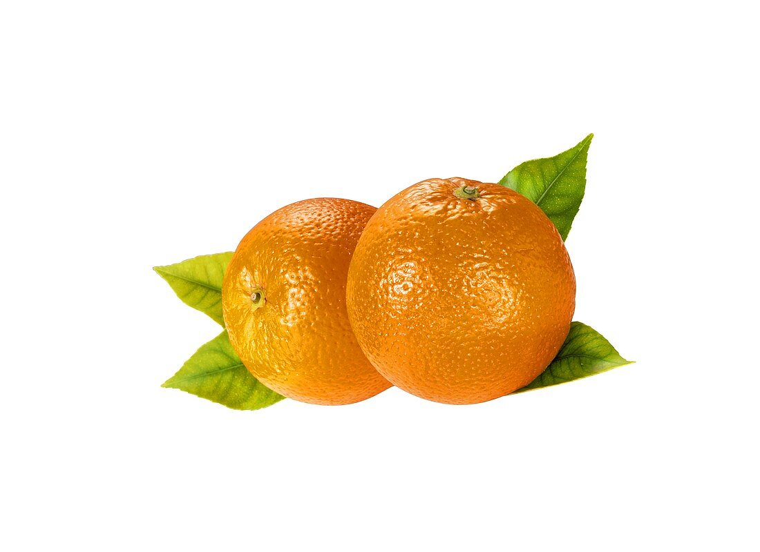 Oranges and Leaves