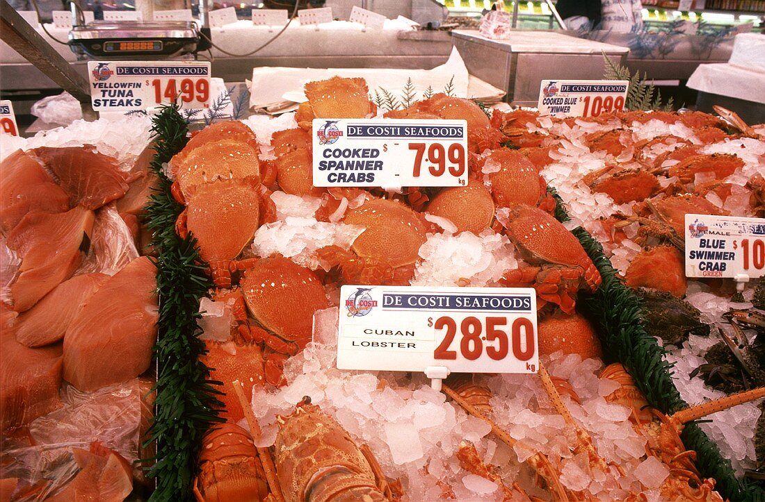 Fischmarkt in Sydney, Australien