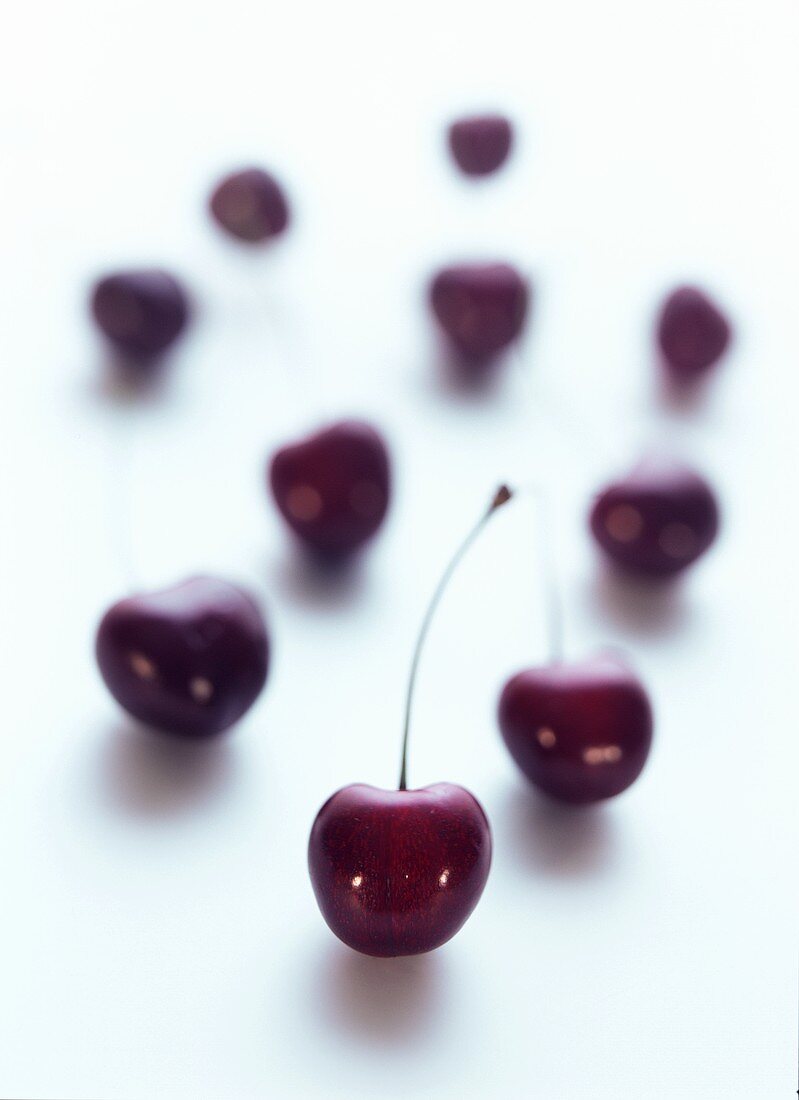 Individual cherries on a white background