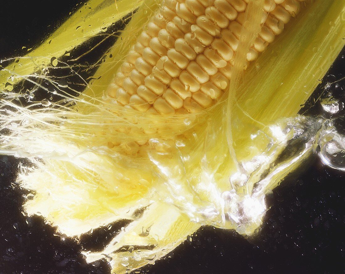 Corn on the Cob with Husks in Water