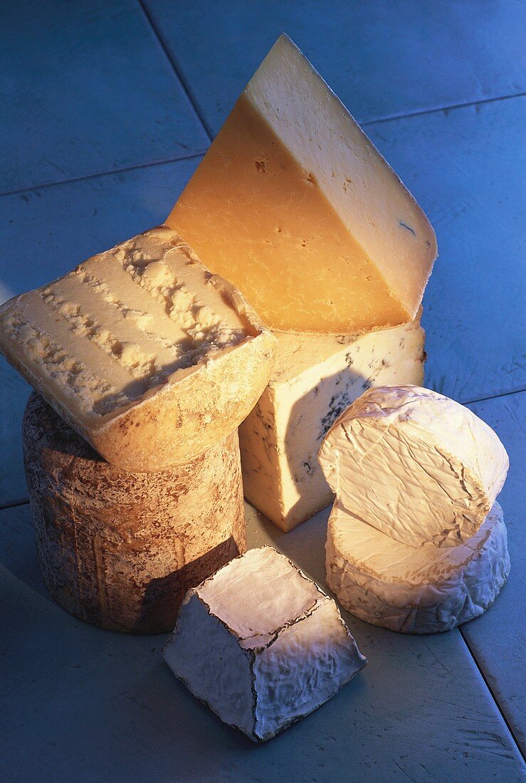 Verschiedene englische Käsesorten auf blauem Untergrund