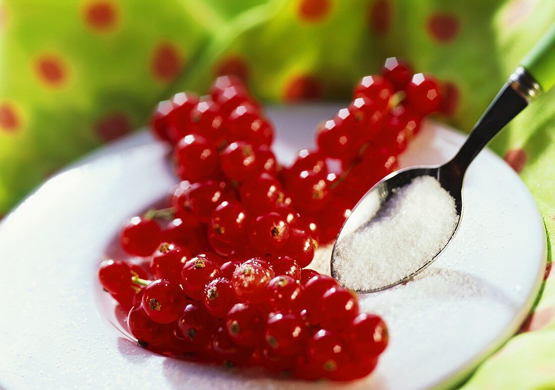 Red Currants with Sugar