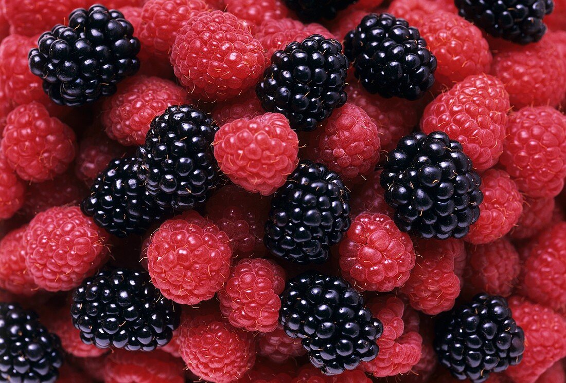 Raspberries and Blackberries