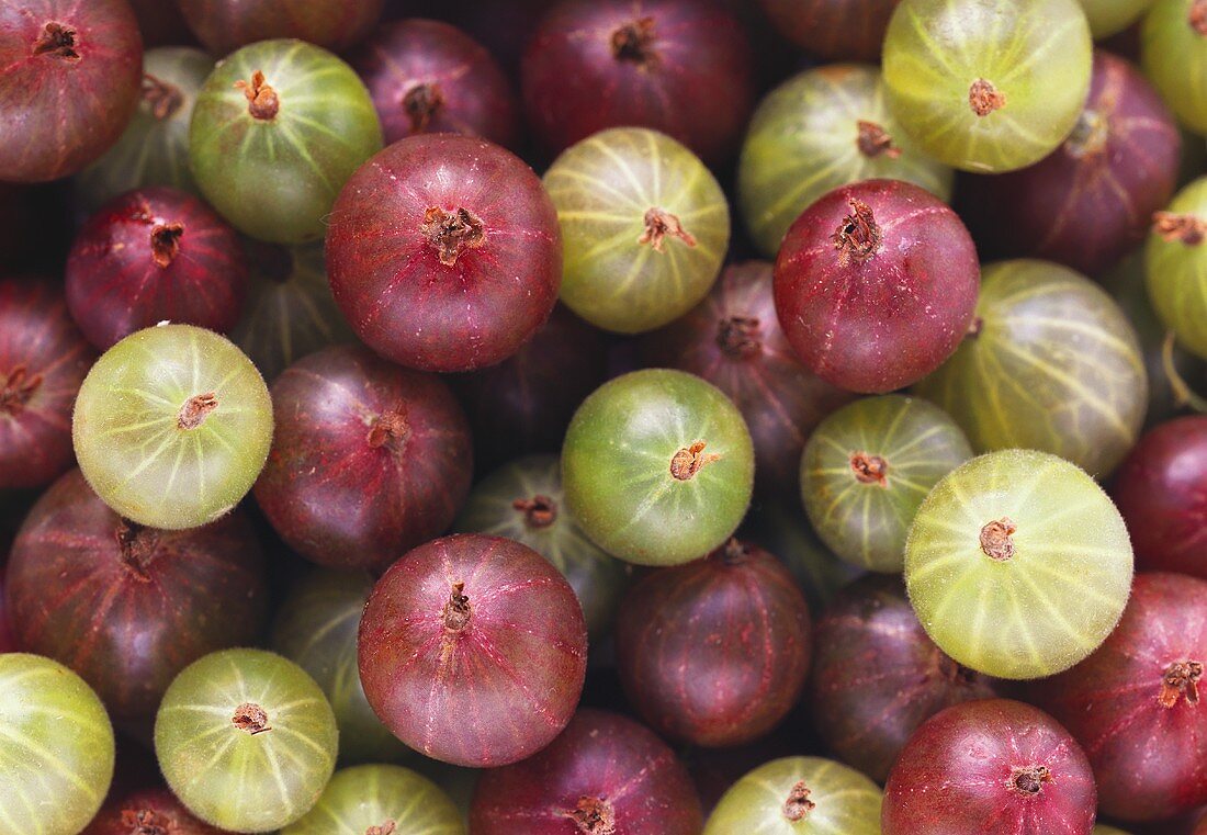 Gooseberries