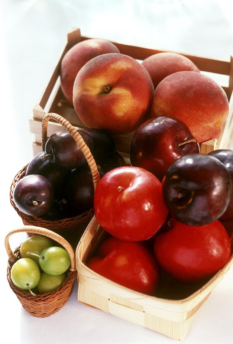 Assorted Summer Fruit