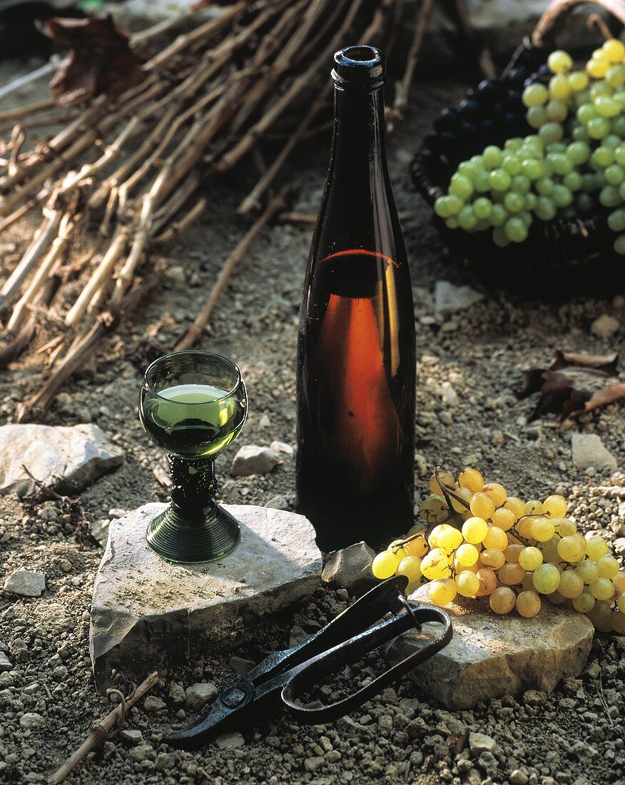 A Bottle and Glass of White Wine with Grapes