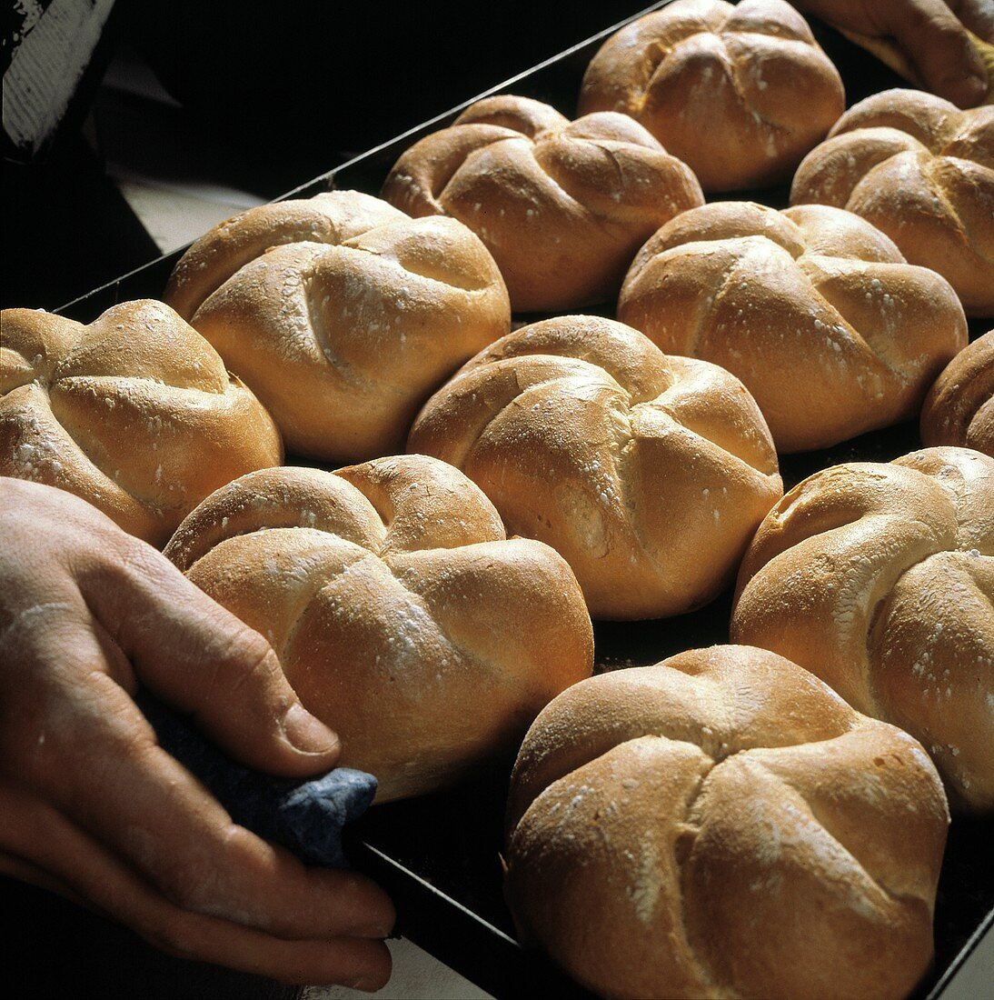 Hand hält Backblech mit frisch gebackenen Brötchen