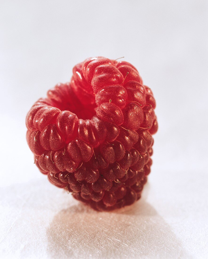 A raspberry on a light background