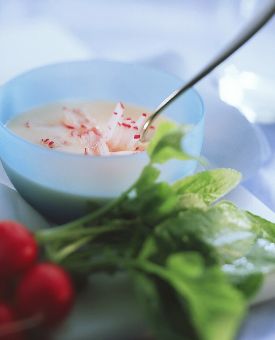 Cremige Radieschensuppe mit Radieschenstreifen