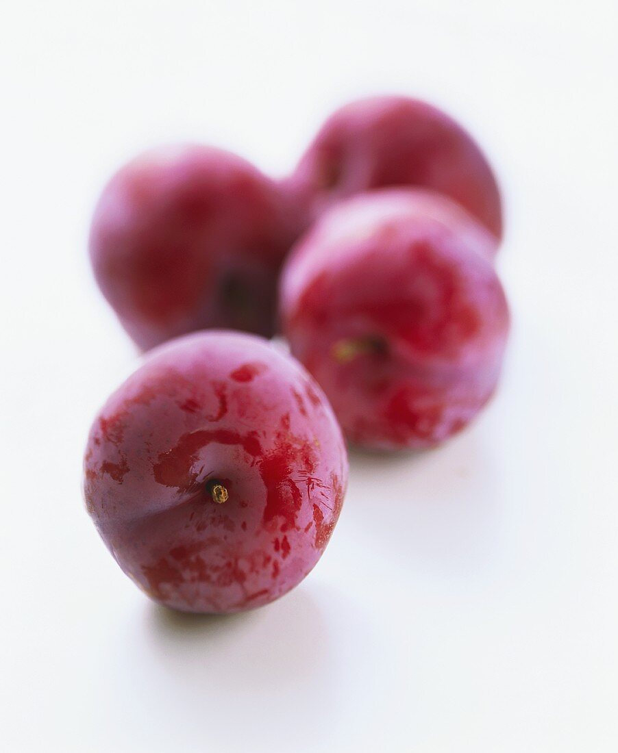 Four red plums on white background