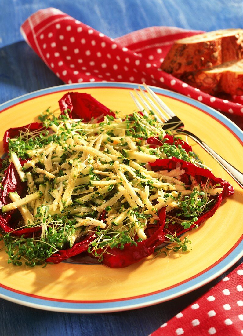 Zucchinisalat mit Käse und Kresse auf Radicchioblättern