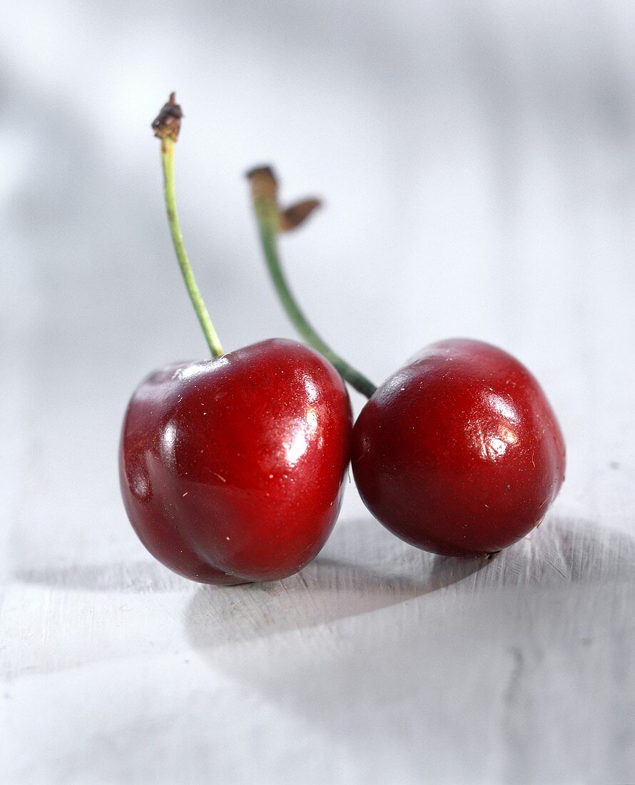 Two shiny red cherries with stalks