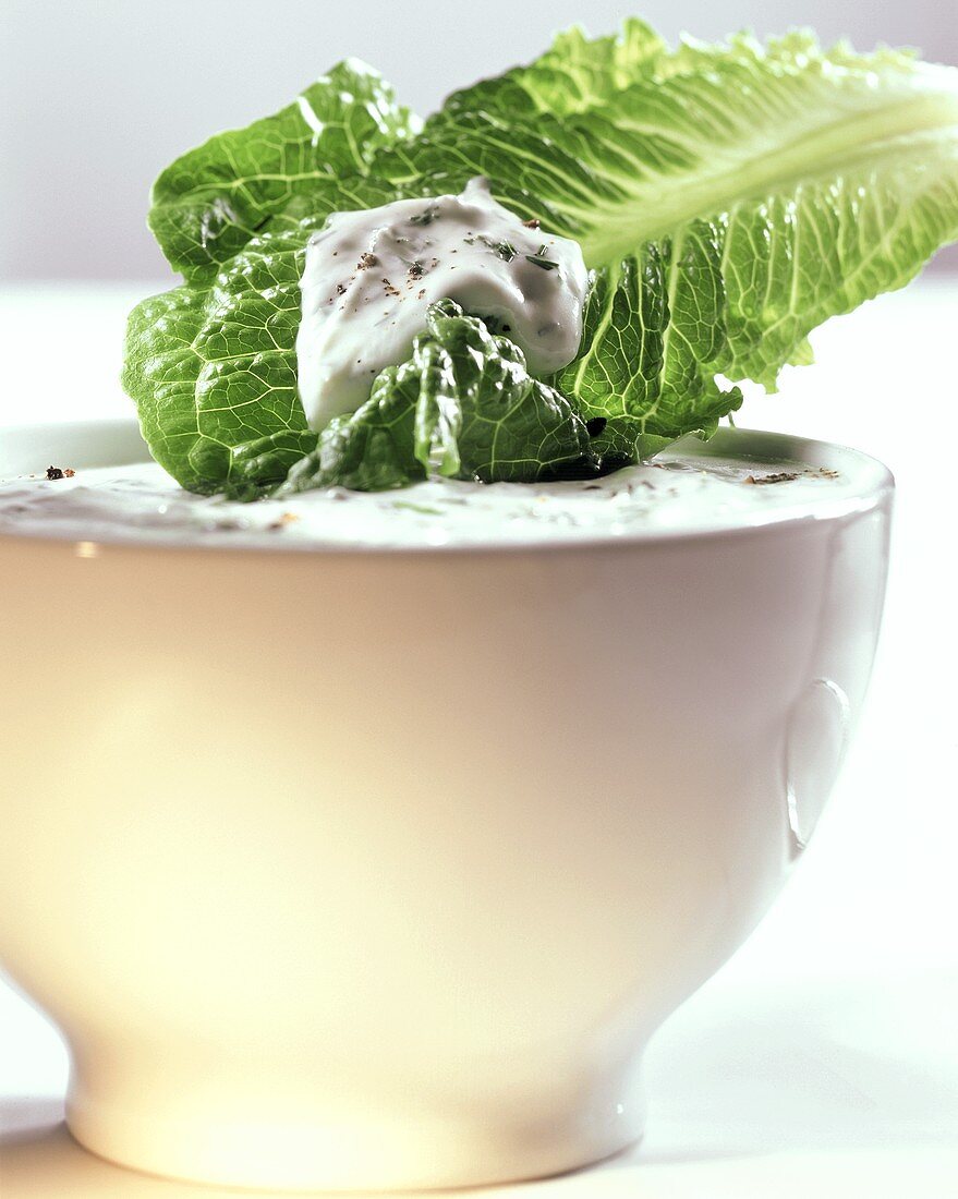 Romaine Lettuce Leaf with Bowl of Dressing