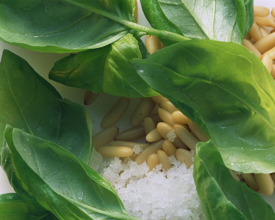 Zutaten für Pesto: Basilikum, Pinienkerne und Meersalz