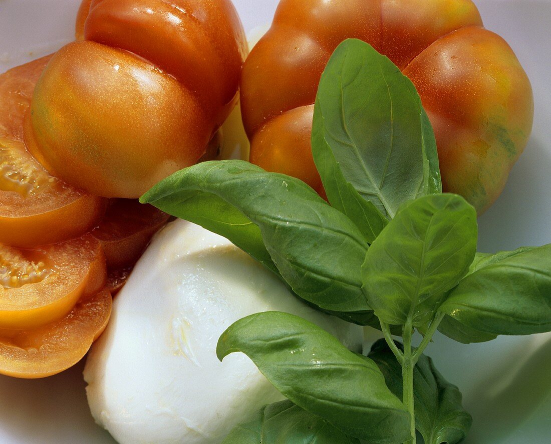 Still life with beefsteak tomatoes, mozzarella & basil sprig