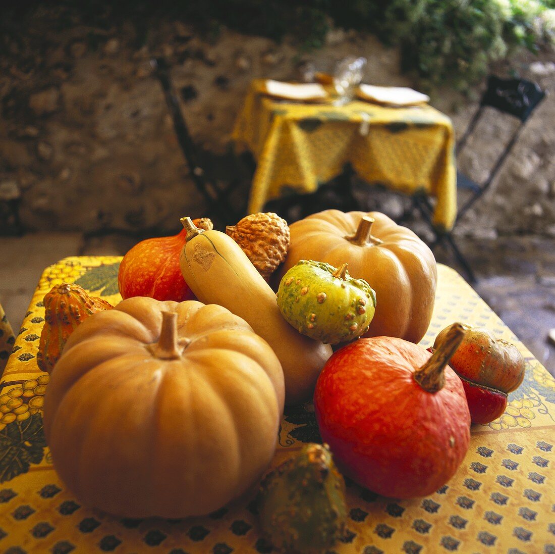 Verschiedene Kürbisse auf einem Tisch arrangiert (Provence)