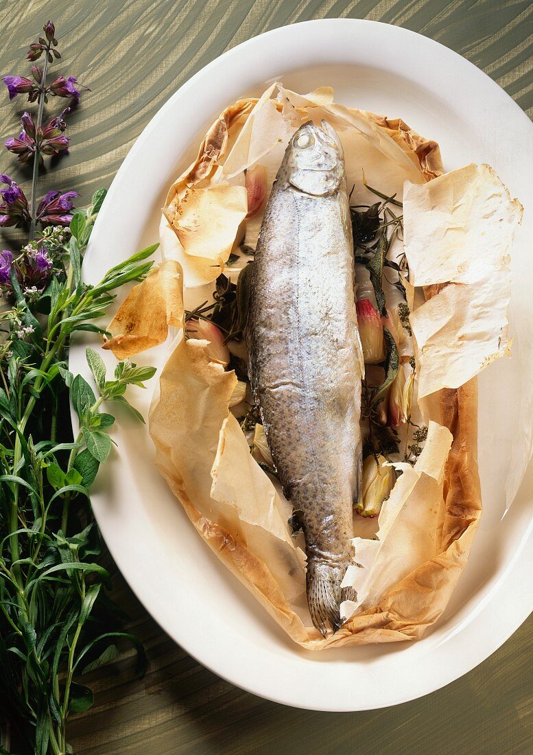 Trout with shallots & herbs on greaseproof paper