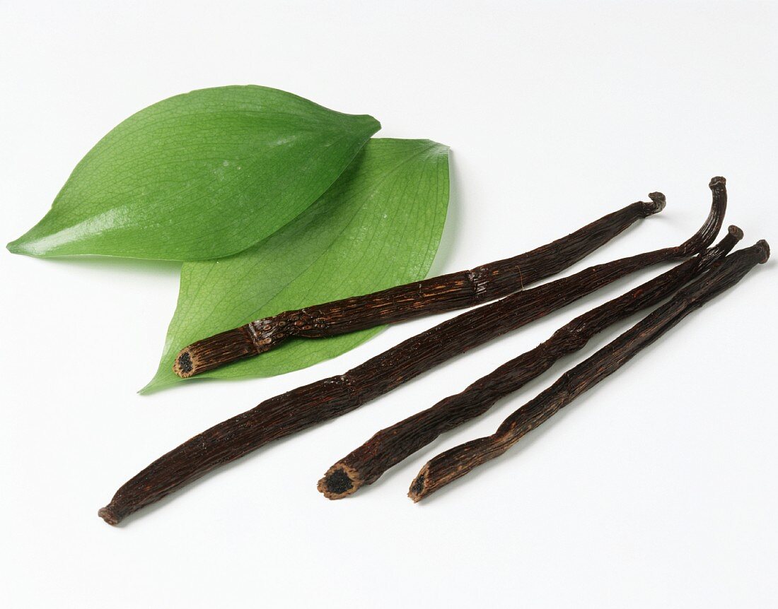 Four vanilla pods and two green leaves