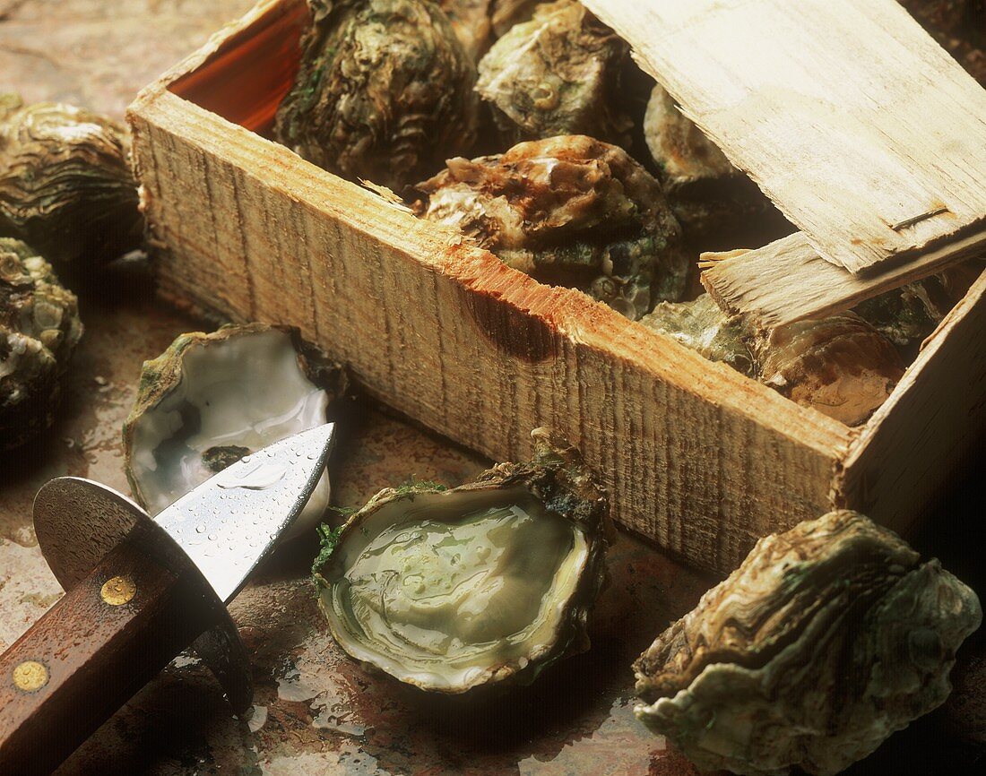 Austern in Holzkiste, daneben geöffnete Auster und Messer