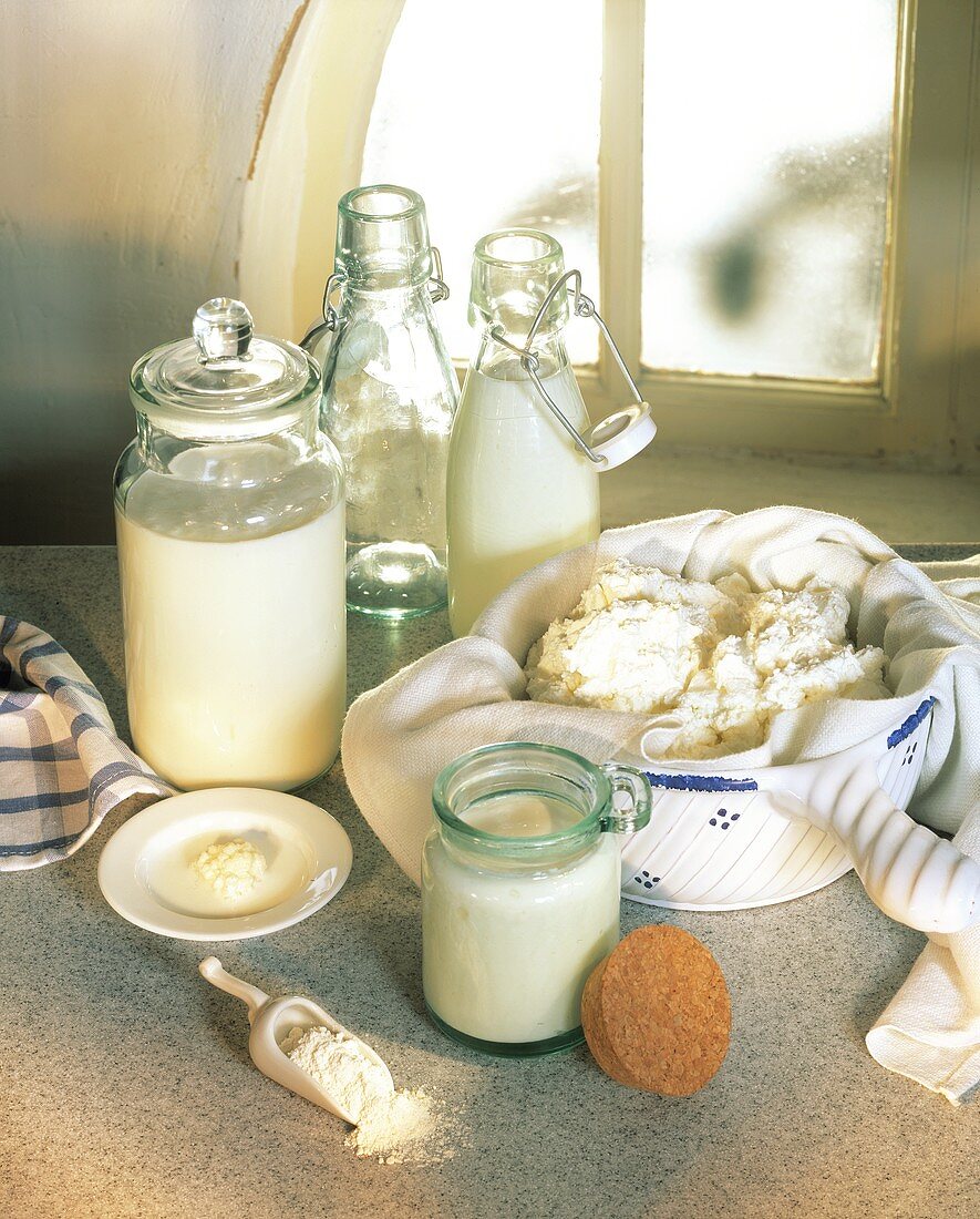 Stillleben mit Sauermilchprodukten (Joghurt, Frischkäse etc.)